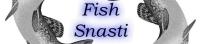 fish-snasti